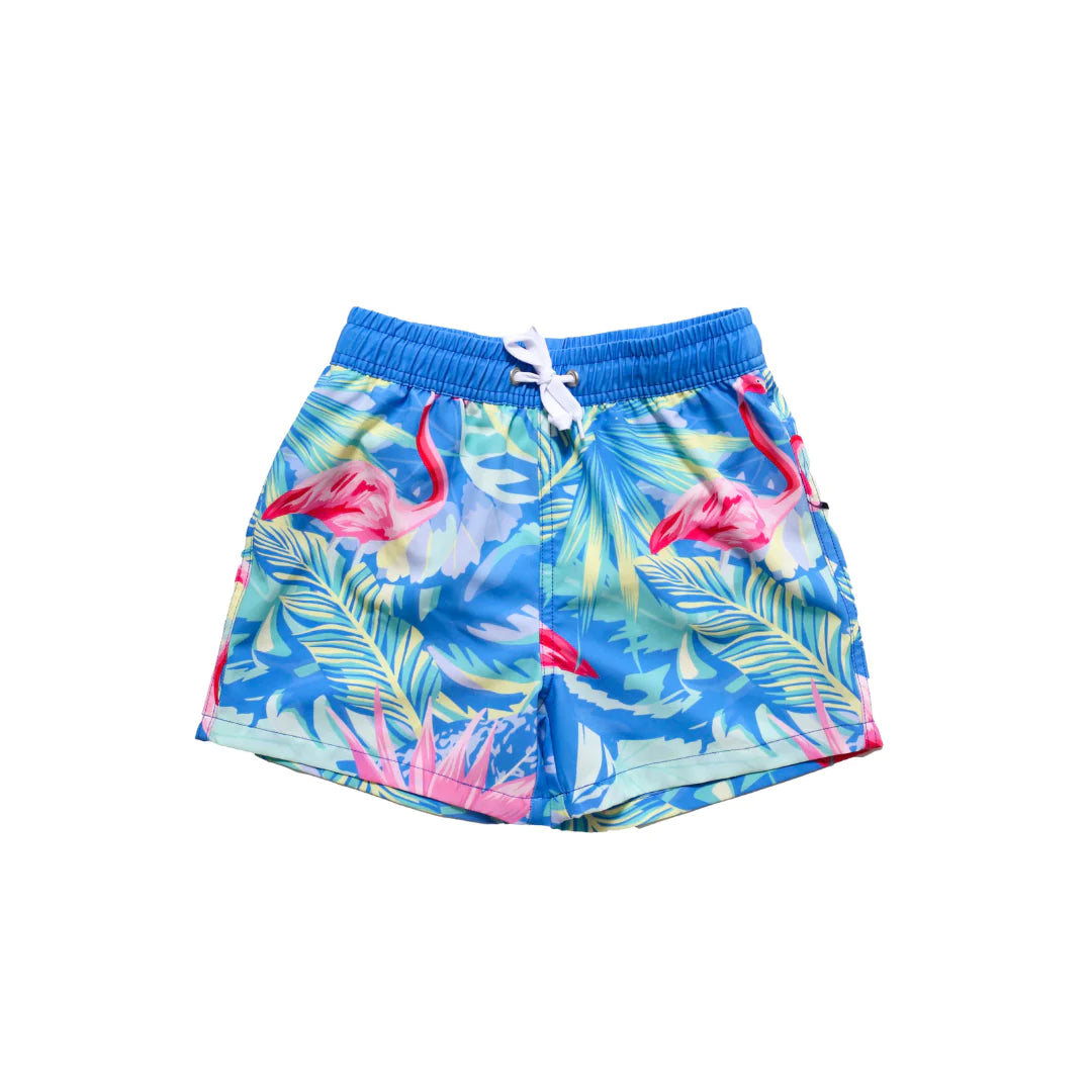 Blueberry Bay Boys Swim Trunks